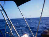 16--PERIGO-B�IA-DE-PESCA!!.jpg (22073 bytes)