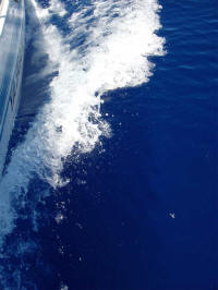 mar azul baiano