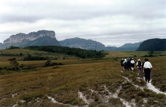 036GeraisVieira1.jpg - Gerais do Vieira