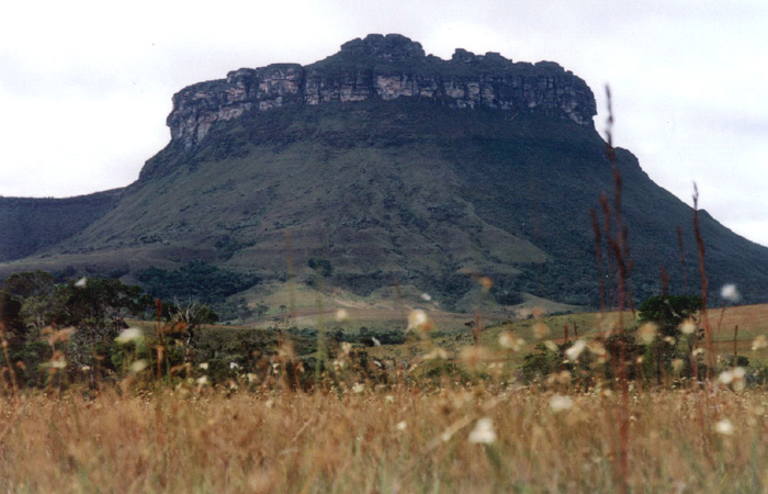 037GeraisVieira2.jpg - Gerais do Vieira