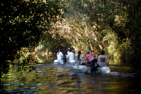 mama5.jpg - Subindo o rio no manguezal no fundo do Saco à cata de cachoeiras